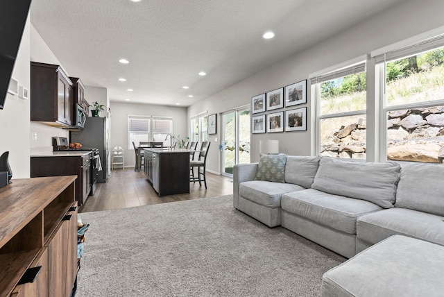 1225 E Paske Rd, Colbert, WA 99005 - living room featuring light wood finished floors, recessed lighting, and a textured ceiling