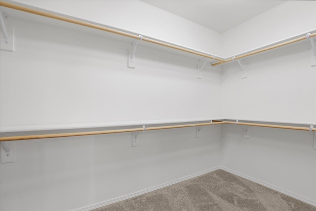8812 W Pirates Ct, Spokane, WA 99224 - walk in closet with light colored carpet