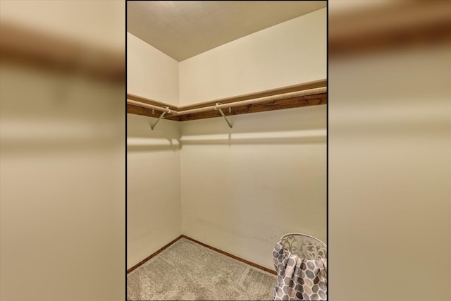707 W 6th Ave Unit 44, Spokane, WA 99204 - walk in closet featuring carpet floors