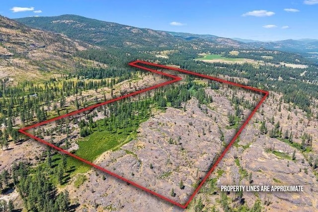76 Kifer Rd, Kettle Falls, WA 99141 - photo 6
