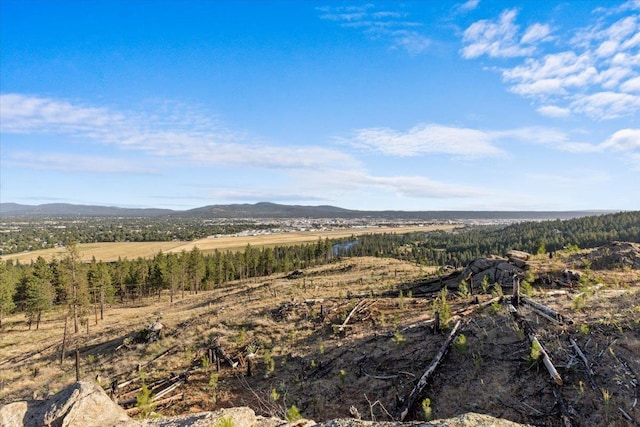 6628 E Valley Springs Rd, Spokane, WA 99217 - photo 33