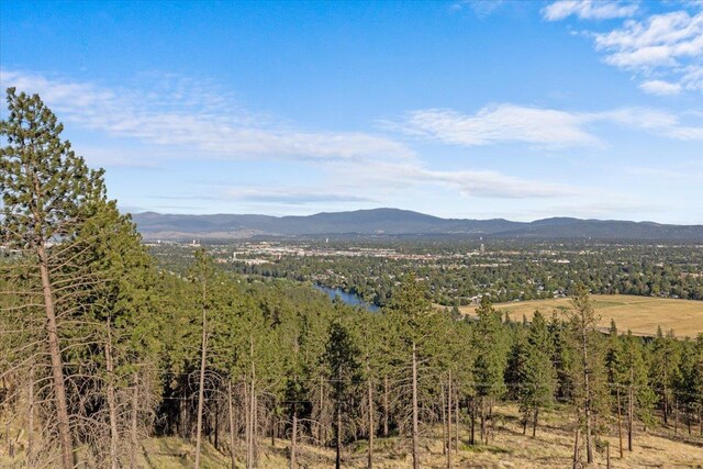 6628 E Valley Springs Rd, Spokane, WA 99217 - photo 35