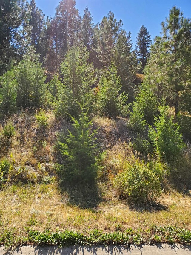 1525 W Carl J Ln, Spokane, WA 99218