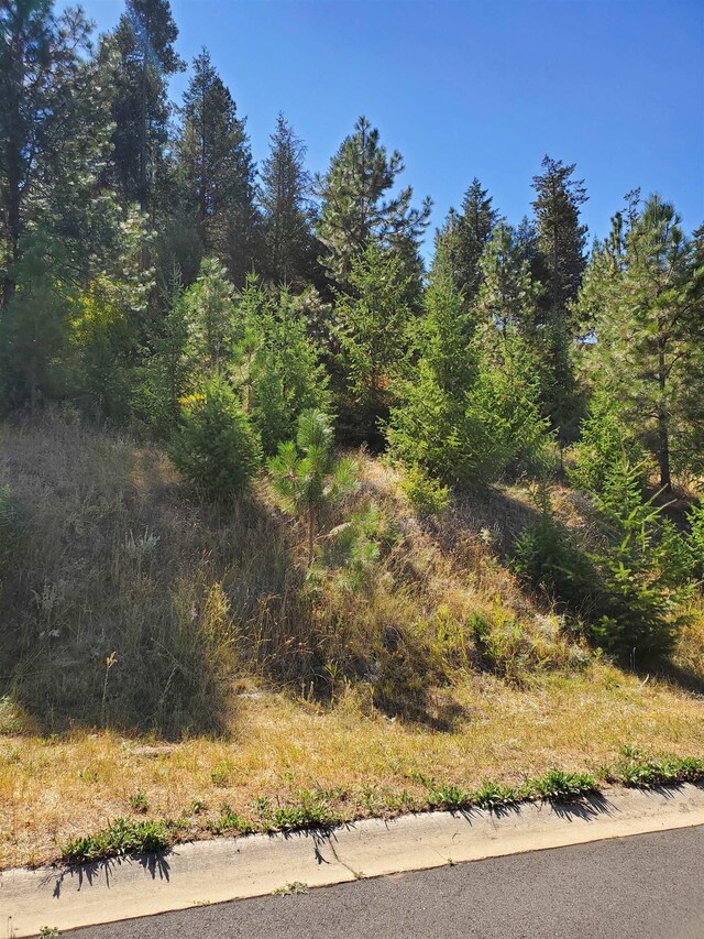 1525 W Carl J Ln, Spokane, WA 99218