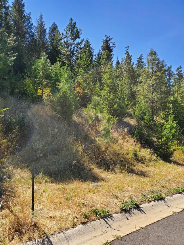 1525 W Carl J Ln, Spokane, WA 99218