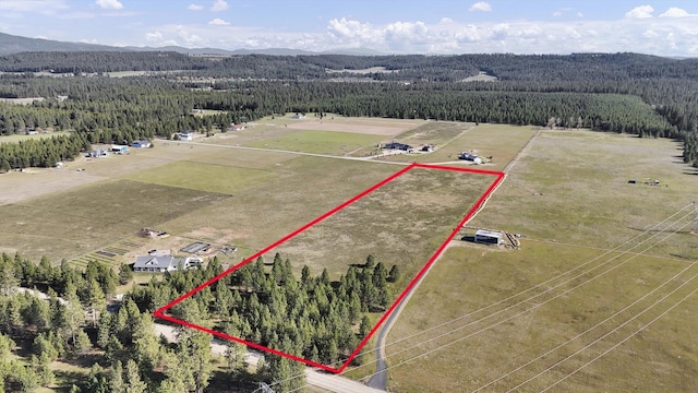 TBD E Owens Rd, Chattaroy, WA 99003 - photo 1