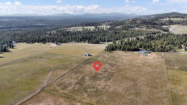 TBD E Owens Rd, Chattaroy, WA 99003 - photo 2