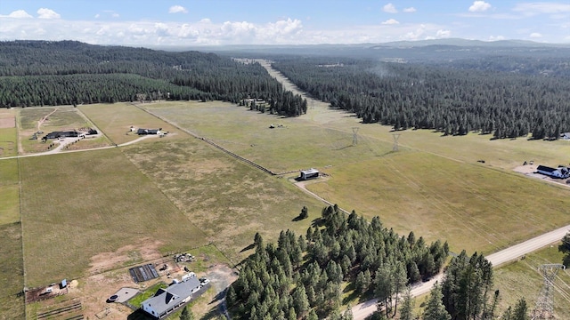 TBD E Owens Rd, Chattaroy, WA 99003 - photo 3