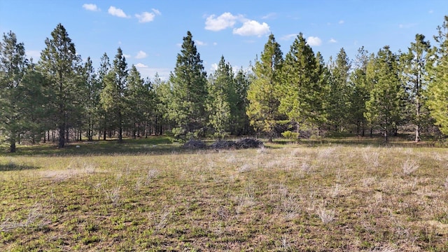 TBD E Owens Rd, Chattaroy, WA 99003 - photo 5