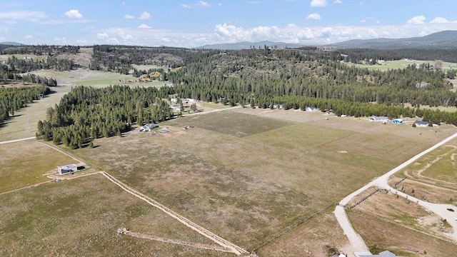 TBD E Owens Rd, Chattaroy, WA 99003 - photo 6