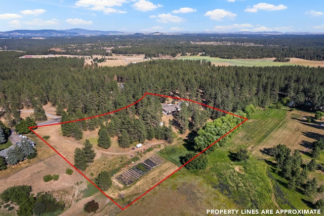 11716 S Chalet Dr, Cheney, WA 99004 - photo 47