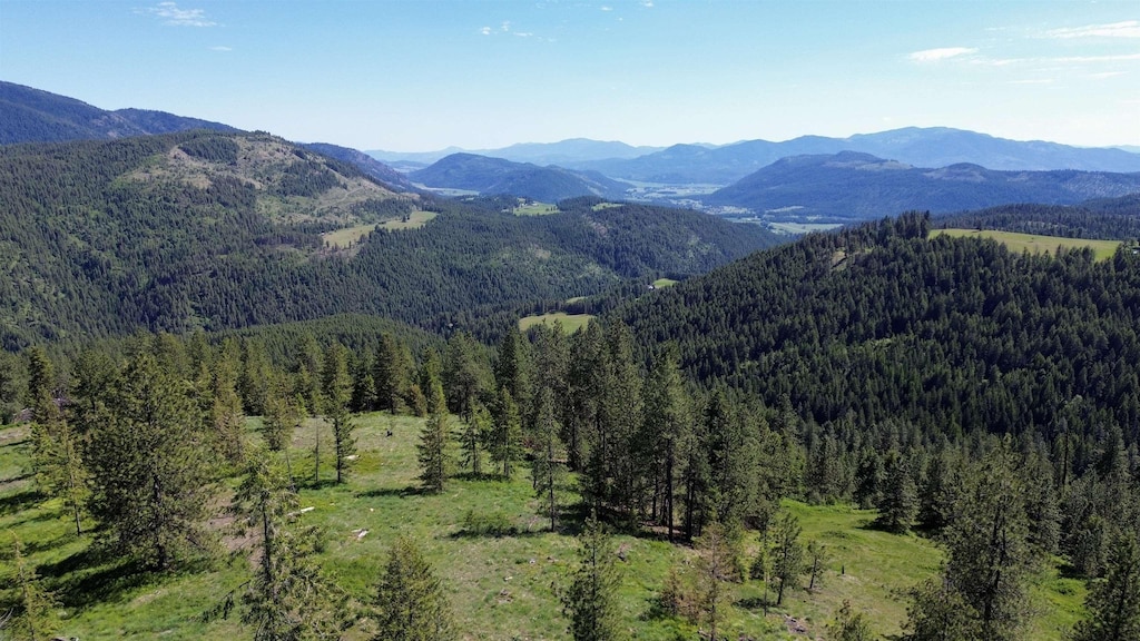 LOT1 Randall Rd, Colville, WA 99114 - photo 1