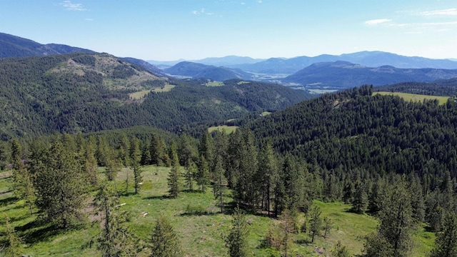 LOT1 Randall Rd, Colville, WA 99114 - photo 1