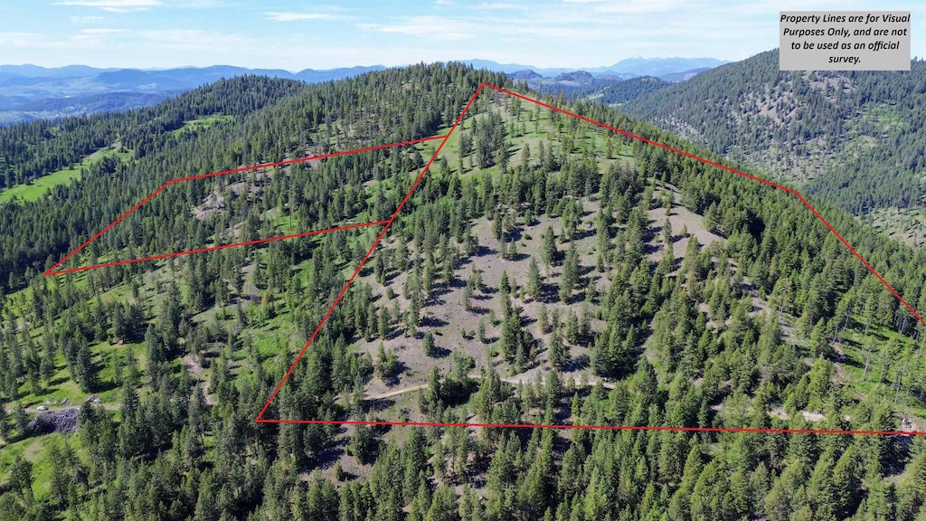 LOT1 Randall Rd, Colville, WA 99114 - photo 3