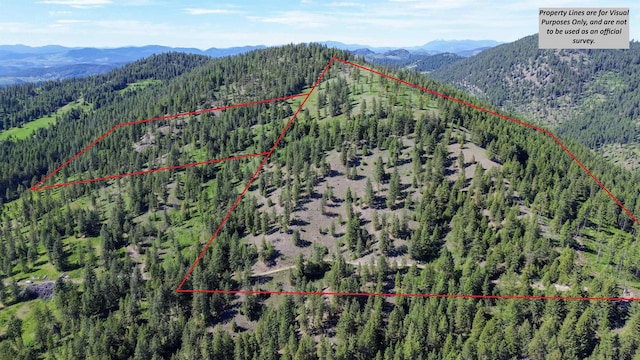 LOT1 Randall Rd, Colville, WA 99114 - photo 3