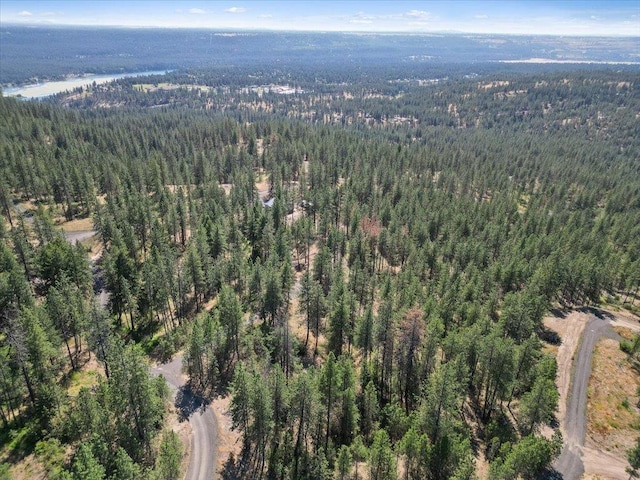 NKA Weaver Way Lot 2Of Lot 1, Deer Park, WA 99006