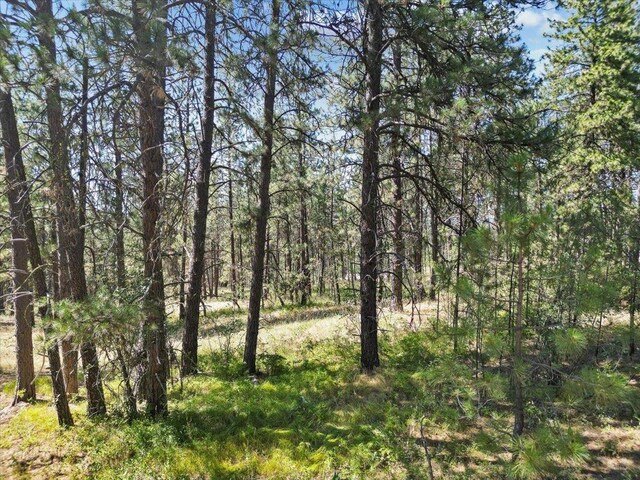 NKA Weaver Way Lot 2Of Lot 1, Deer Park, WA 99006
