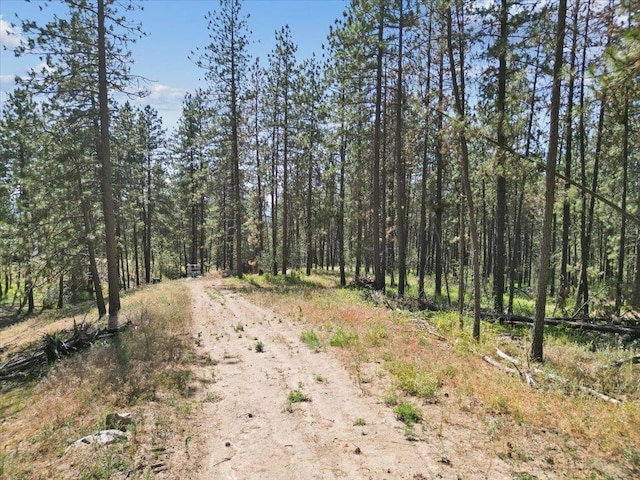 NKA Weaver Way Lot 2Of Lot 1, Deer Park, WA 99006