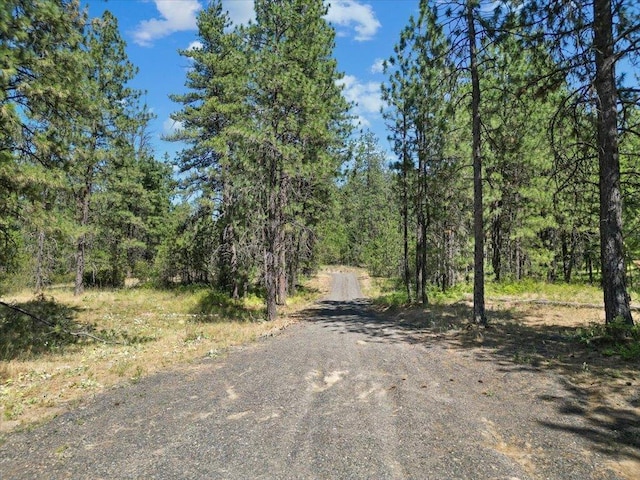 NKA Weaver Way Lot 2Of Lot 1, Deer Park, WA 99006