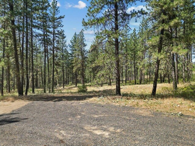 NKA Weaver Way Lot 2Of Lot 1, Deer Park, WA 99006