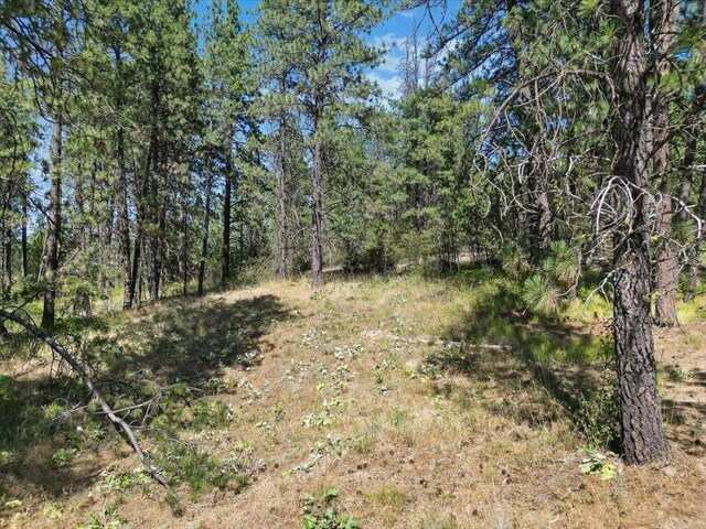 NKA Weaver Way Lot 2Of Lot 1, Deer Park, WA 99006