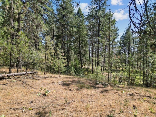 NKA Weaver Way Lot 2Of Lot 1, Deer Park, WA 99006