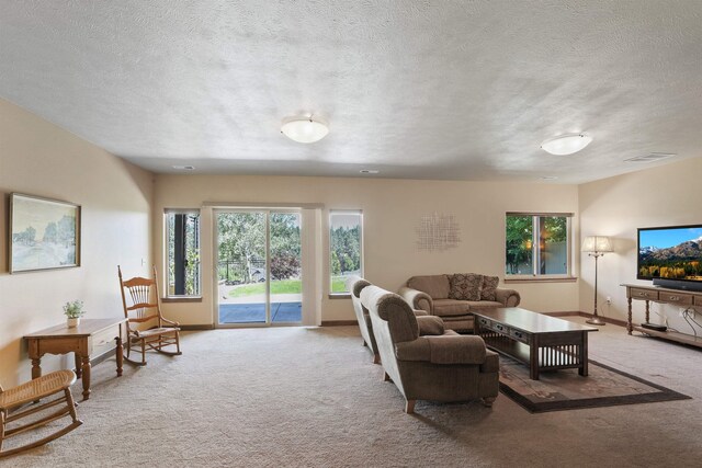 1604 N Rim View St, Spokane, WA 99224 - living area featuring carpet flooring and a textured ceiling