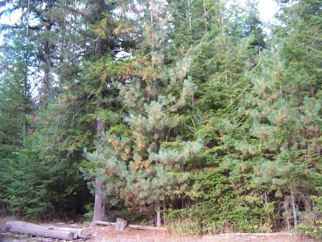 211 Otter Ln, Cusick, WA 99119