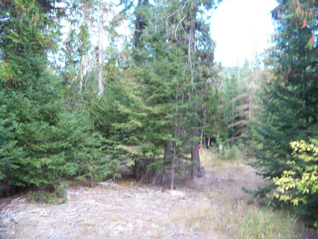 211 Otter Ln, Cusick, WA 99119
