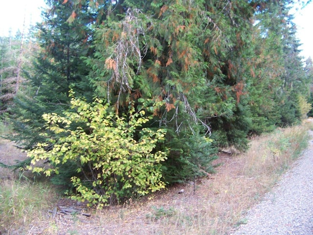211 Otter Ln, Cusick, WA 99119