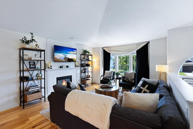 18017 N Lidgerwood Ct, Colbert, WA 99005 - living room featuring light wood-style floors and a glass covered fireplace