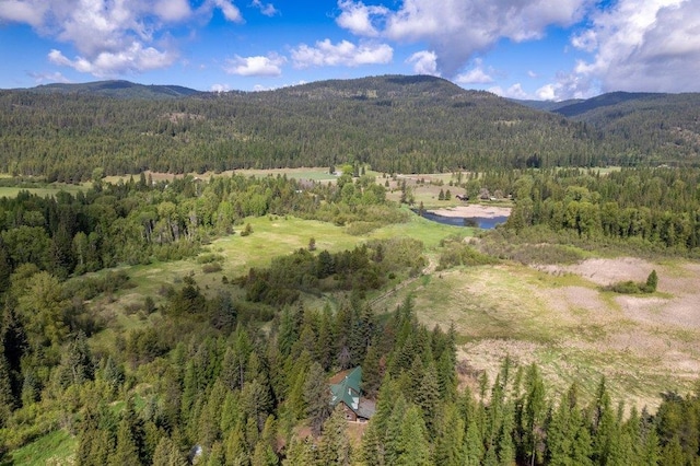 652 Penny Ln, Usk, WA 99180 - photo 3