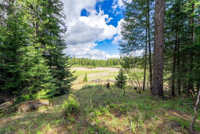 652 Penny Ln, Usk, WA 99180 - photo 6