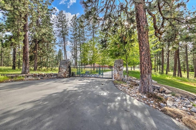 3222 S Conklin Rd, Greenacres, WA 99016 - view of gate