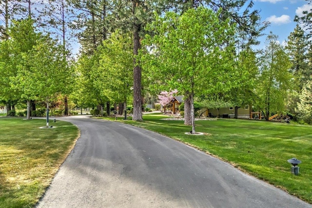 3222 S Conklin Rd, Greenacres, WA 99016 - view of asphalt street