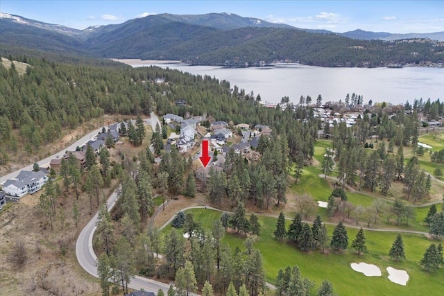 223 N Lindeblad Ln, Liberty Lake, WA 99019 - photo 49
