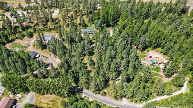 26525 N River Estates Dr, Chattaroy, WA 99003 - photo 41