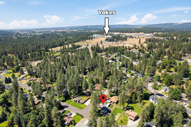 4927 E Greenleaf Ave, Mead, WA 99021 - photo 43
