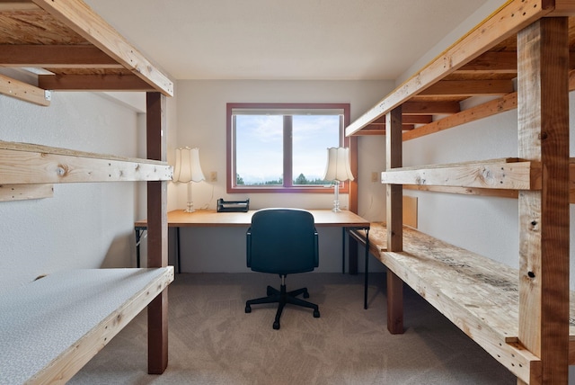 3314 W Eagles Nest Ln, Spokane, WA 99208 - office space with carpet flooring and built in study area