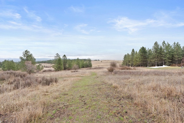 3314 W Eagles Nest Ln, Spokane, WA 99208 - view of undeveloped land featuring rural landscape