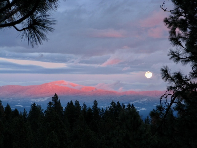 3314 W Eagles Nest Ln, Spokane, WA 99208 - mountain view