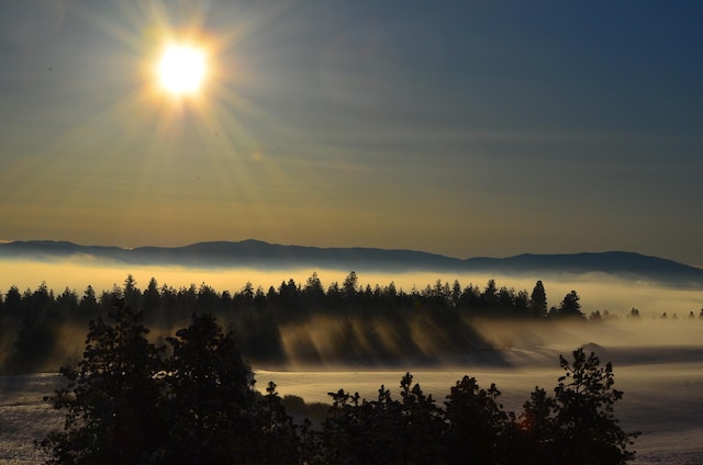 3314 W Eagles Nest Ln, Spokane, WA 99208 - water view