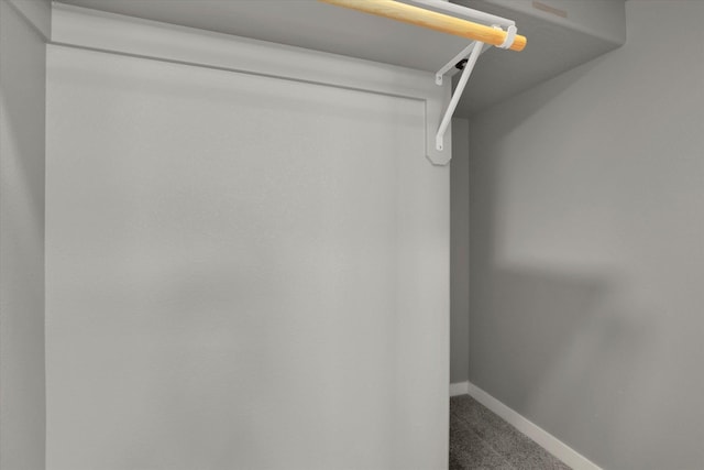 1119 S Soda Rd, Spokane, WA 99224 - spacious closet featuring carpet flooring
