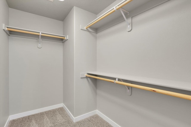 1119 S Soda Rd, Spokane, WA 99224 - spacious closet with light colored carpet