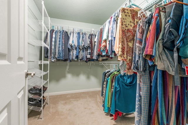 9617 N Northview Ln, Spokane, WA 99208 - spacious closet with carpet floors