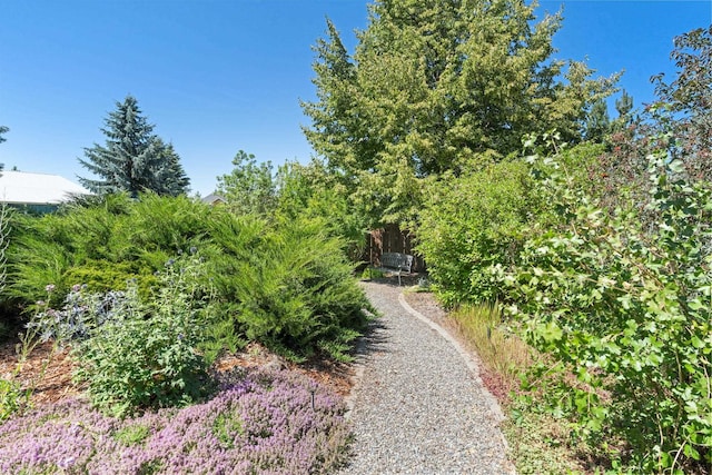 9617 N Northview Ln, Spokane, WA 99208 - surrounding community