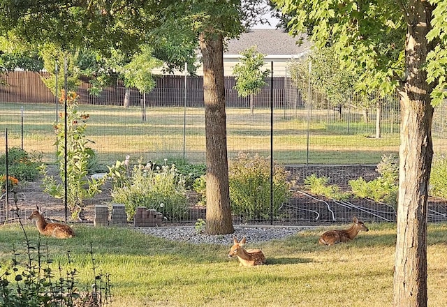 9617 N Northview Ln, Spokane, WA 99208 - view of yard featuring a garden