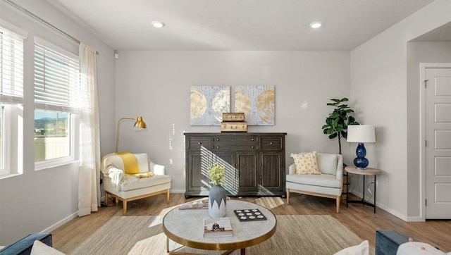 3745 S Keller Ln, Spokane Valley, WA 99206 - living area with light wood-style floors and recessed lighting
