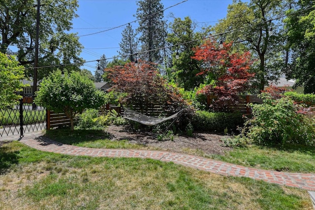 927 W 19th Ave, Spokane, WA 99203 - view of yard