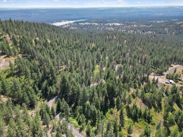 NKA Weaver Way Lot 3Of Lot 1, Deer Park, WA 99006